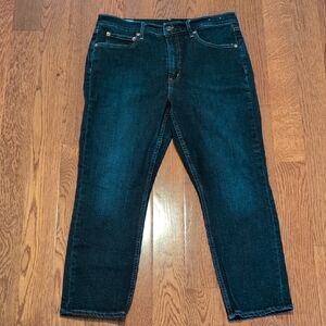 Gap Vintage Slim High Rise Jeans 31/12 S